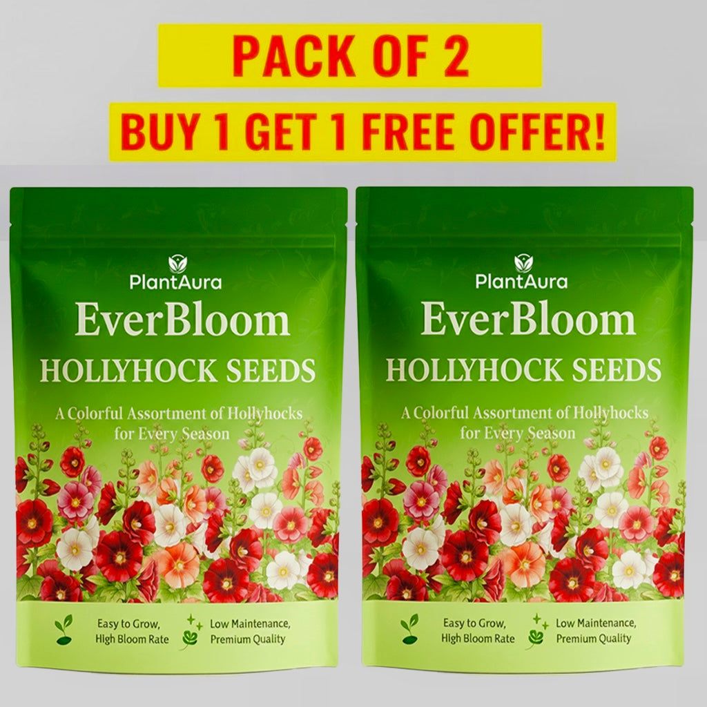 EverBloom Hollyhock Seeds