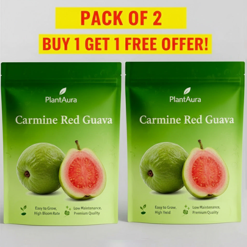 Carmine Red Guava Seeds