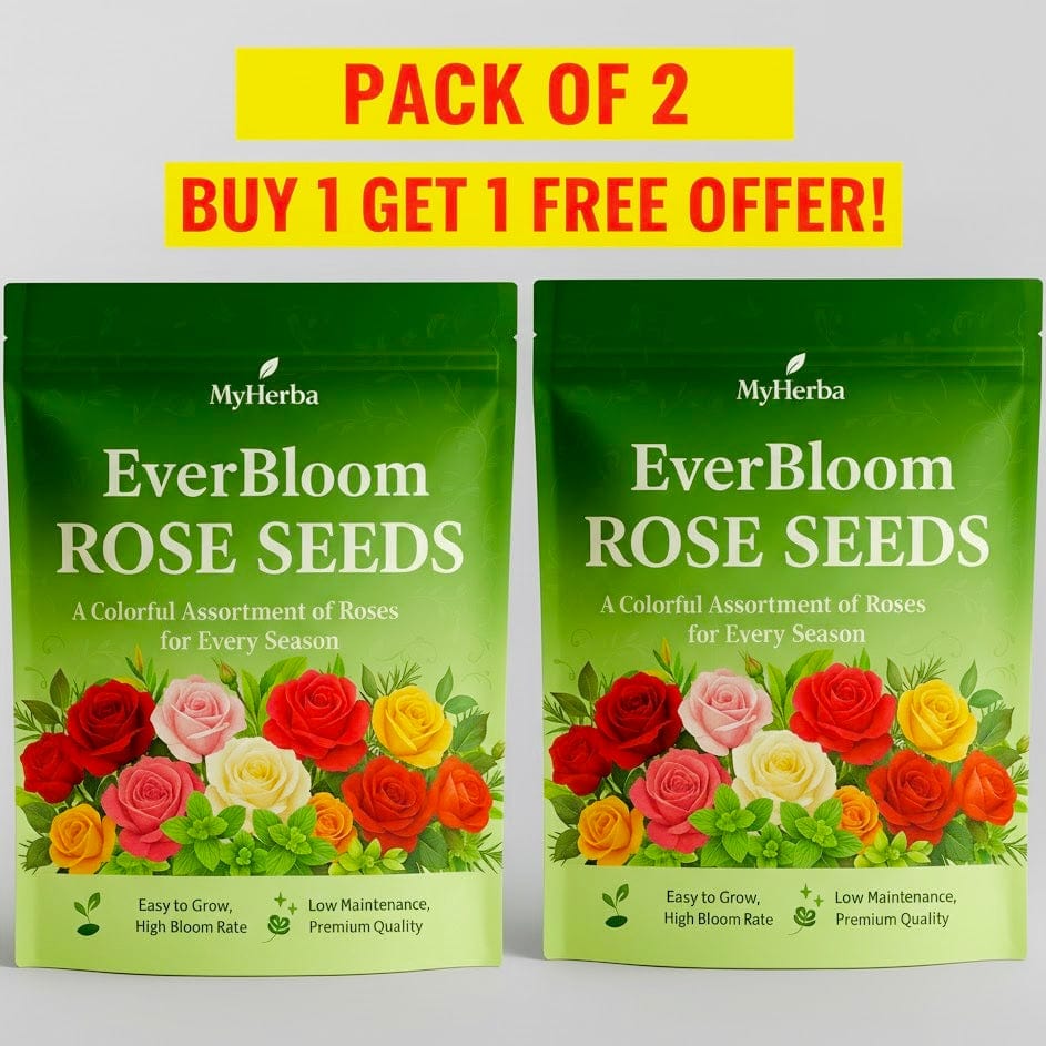 seeds for roses EverBloom Climbing Roses Seeds